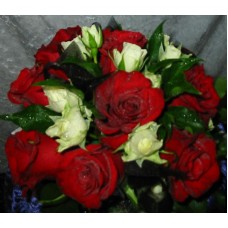 Red and white Roses Bunch 
