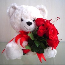 Roses + Teddy Bear