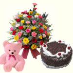 Carnations + Cake + Soft Toy
